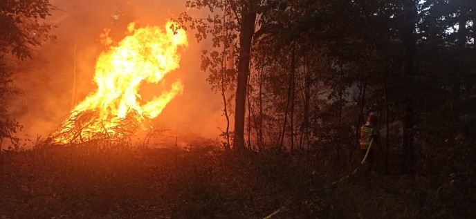 Pożar lasu w Dębnie.