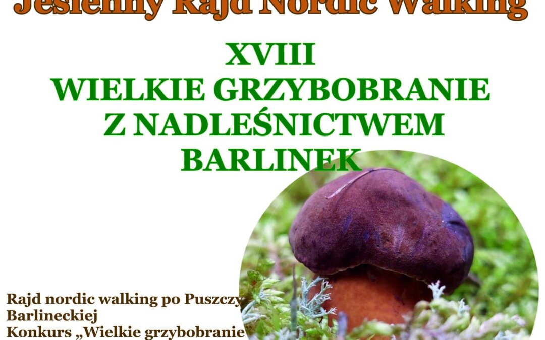 Jesienne grzybobranie – CIT zaprasza