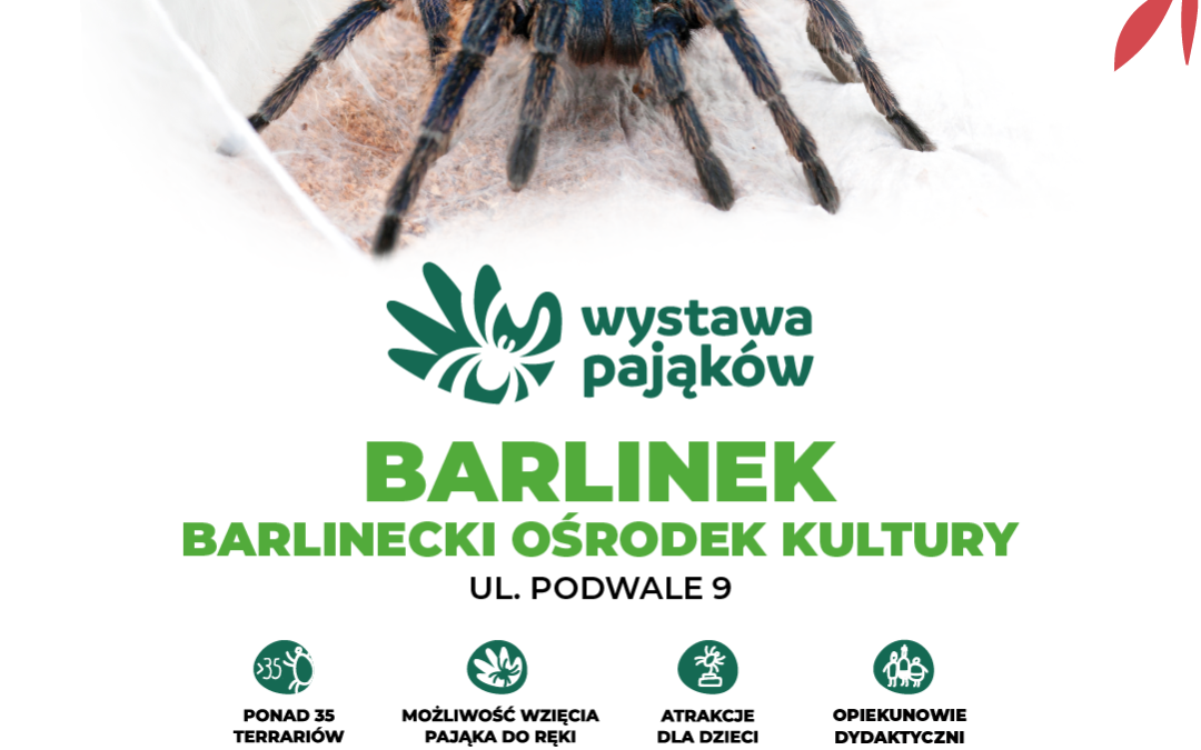 Wystawa pająków – zaproszenie